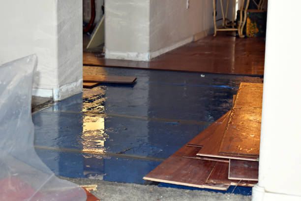 Professional Burst Pipe Cleanup technician working in Marion, MA